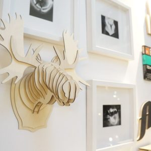 פאזל תלת מימד 10 מ"מ לושייך - בחיתוך לייזר