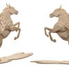 דגם פגסוס (סוס מעופף) קסום CNC לייזר L 12 מ"מ - בחיתוך לייזר