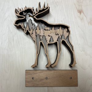 יצירת אייל תלת-ממדית - תמונת שכבות בחיתוך לייזר