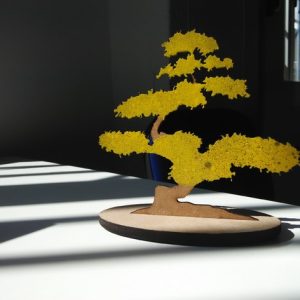 בונסאי - בחיתוך לייזר