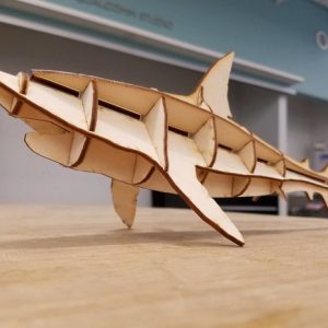 כָּרִישׁ - בחיתוך לייזר