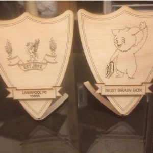 פאזל תלת מימד ריק מגן - בחיתוך לייזר